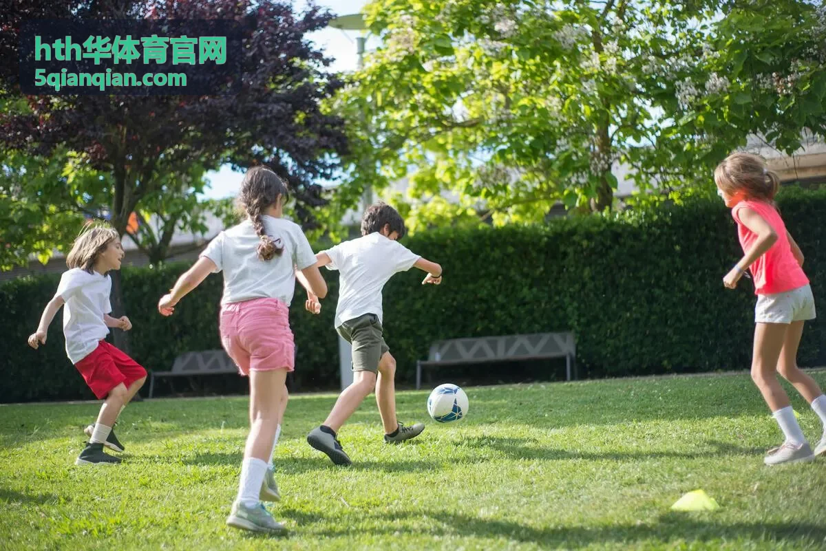 hth华体育官网 联赛赛季专题合集封面